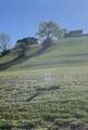 9999 Shiner Hill Phase II Lot #26 - Photo 17