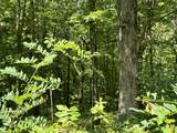 1A Clay Camp Road - Photo 12