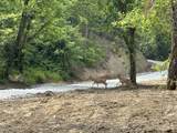1A Clay Camp Road - Photo 13