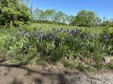 256 Carrick Pike - Photo 15