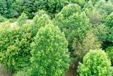 0 Lovers Lane - Photo 13
