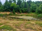 279 Mike Mcwhorter Road - Photo 45