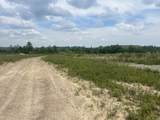 9999 Lewis Creek Road - Photo 7