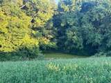 2061 Ky. Hwy 62 East ( Sardis Pike) - Photo 24