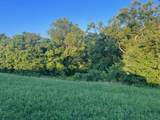 2061 Ky. Hwy 62 East ( Sardis Pike) - Photo 25