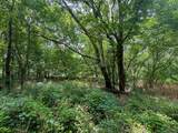 0 Abners Mill Road - Photo 49