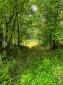 0 Abners Mill Road - Photo 58
