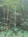 9999 May Fork Road - Photo 1