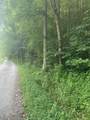9999 May Fork Road - Photo 2