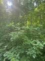 9999 May Fork Road - Photo 4