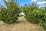 1145 Indian Creek Road - Photo 12