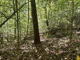 9950 Hector Road - Photo 3