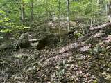 9950 Hector Road - Photo 4