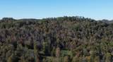 0 Gander Branch Rd - Photo 30