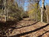 0 Gander Branch Rd - Photo 5