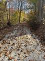 0 Gander Branch Rd - Photo 54