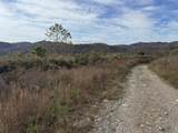 0 Maple Creek Road - Photo 10