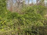 0 Maple Creek Road - Photo 5