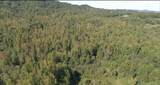 000 Patterson Creek Road - Photo 1