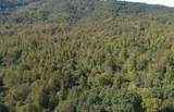 000 Patterson Creek Road - Photo 2