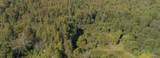 000 Patterson Creek Road - Photo 3