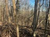 3111 Sulphur Creek Road - Photo 3