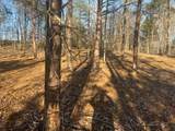 3111 Sulphur Creek Road - Photo 6