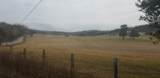 1137 Hwy 1003 - Photo 4