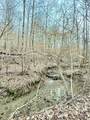 0 Sam Baughman Road - Photo 13