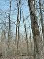 0 Sam Baughman Road - Photo 25