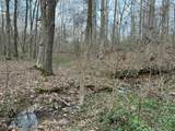 0 Fords Ferry Road - Photo 3