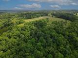 41 Jack Turner Branch Road - Photo 3
