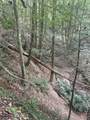 19 Acres Day Ridge Rd. - Photo 10