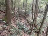19 Acres Day Ridge Rd. - Photo 11