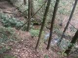 19 Acres Day Ridge Rd. - Photo 12