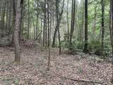 19 Acres Day Ridge Rd. - Photo 14