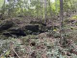 19 Acres Day Ridge Rd. - Photo 15