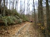 19 Acres Day Ridge Rd. - Photo 22