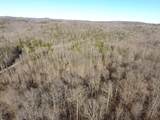 19 Acres Day Ridge Rd. - Photo 4