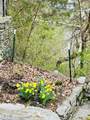 266 Oster Drive - Photo 43