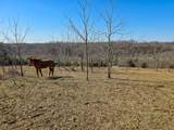 5112 Casey Creek Road - Photo 63