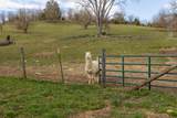 7800 Cornishville Road - Photo 46