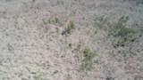 111 Rocky Point School Road - Photo 17
