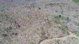 111 Rocky Point School Road - Photo 25