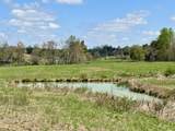428 Dick Wilson Road - Photo 3