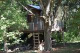 701 Mccalls Mill Road - Photo 94
