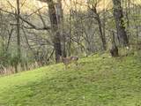 501 Smith Road - Photo 51