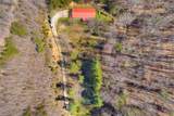 287 Boys in The Holler Trail - Photo 1