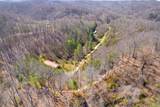 287 Boys in The Holler Trail - Photo 54