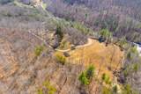 287 Boys in The Holler Trail - Photo 59